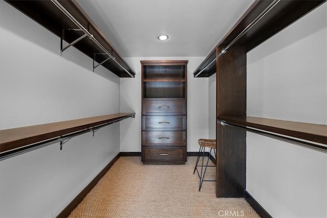 spacious closet with light carpet