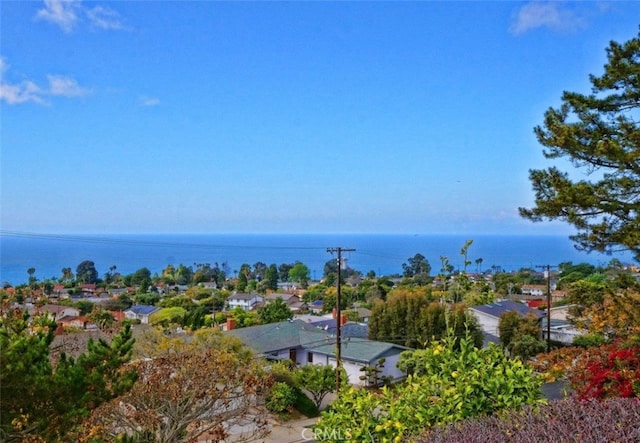 view of water feature