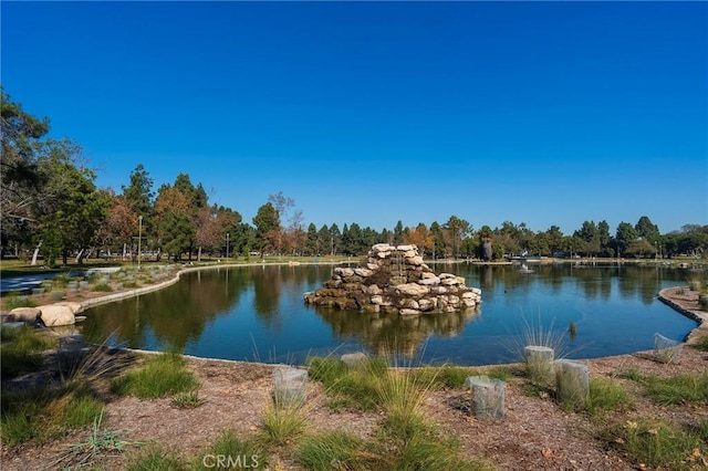 view of water feature