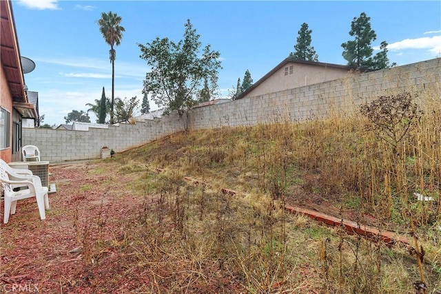 view of yard with a fenced backyard