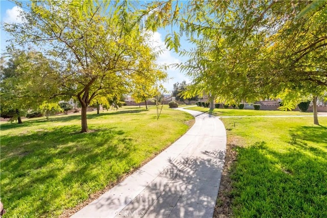 view of community with a lawn