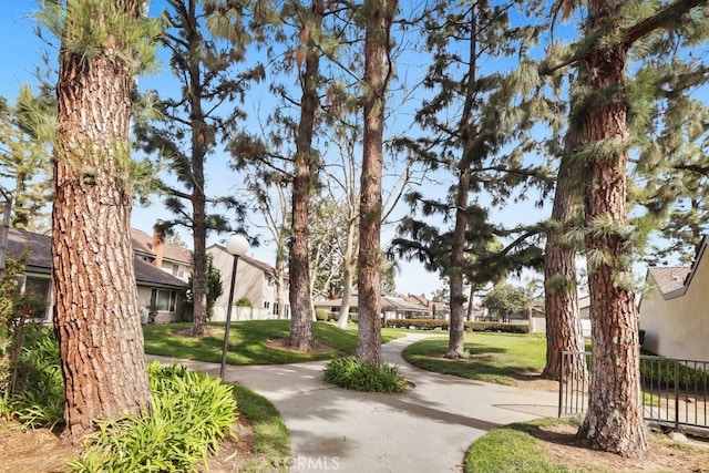 view of property's community with a residential view and a yard