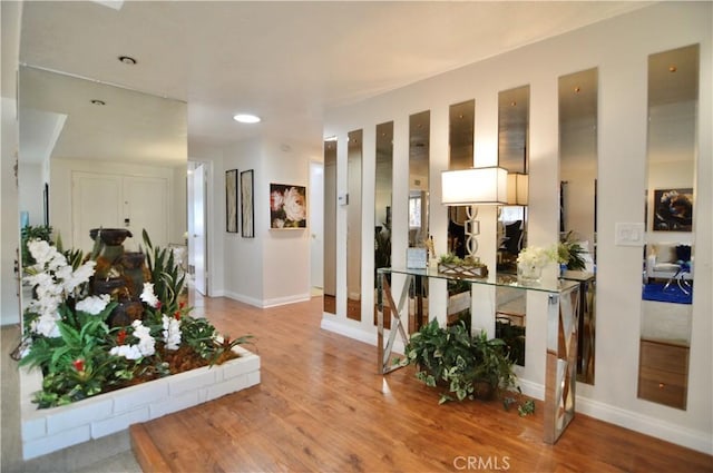 hallway with baseboards and wood finished floors