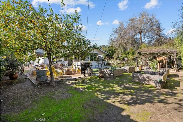 view of yard with a vegetable garden