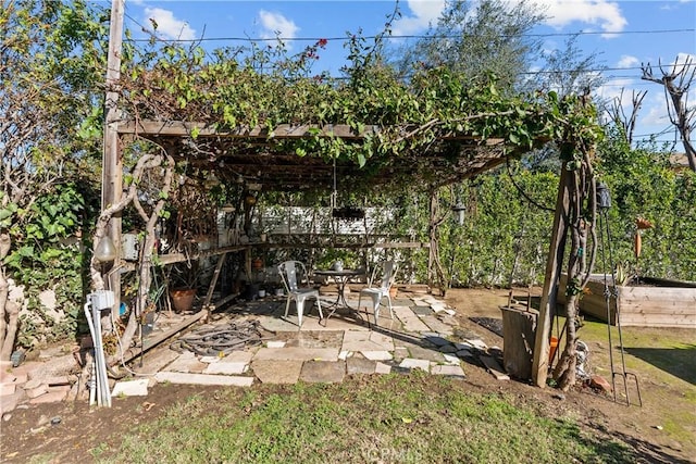 view of yard with a garden and a patio area