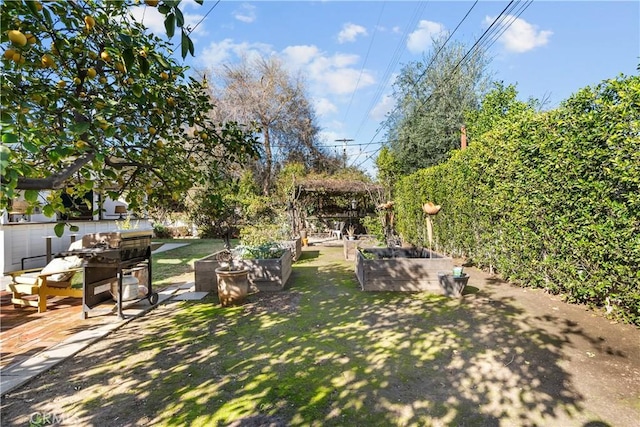 view of yard featuring a patio area and a garden