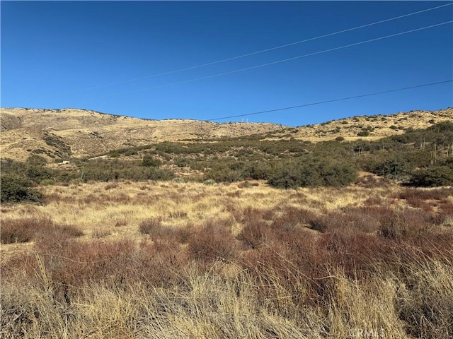 2 Mi N, Acton CA, 93510 land for sale