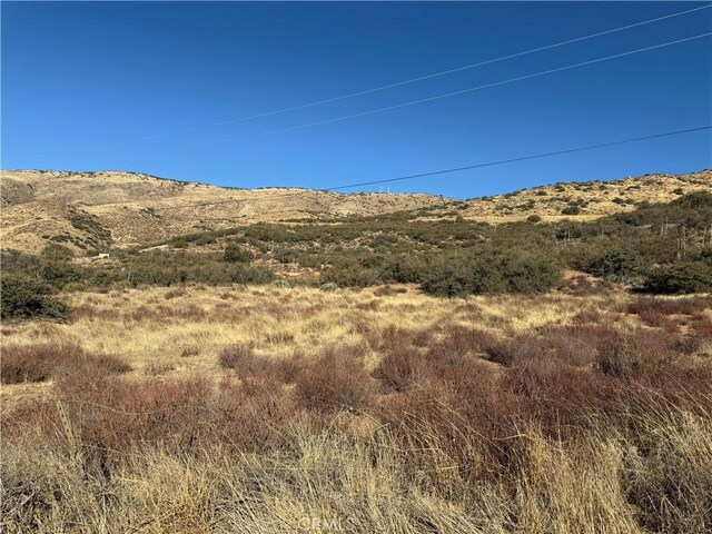 2 Mi N, Acton, CA 93510