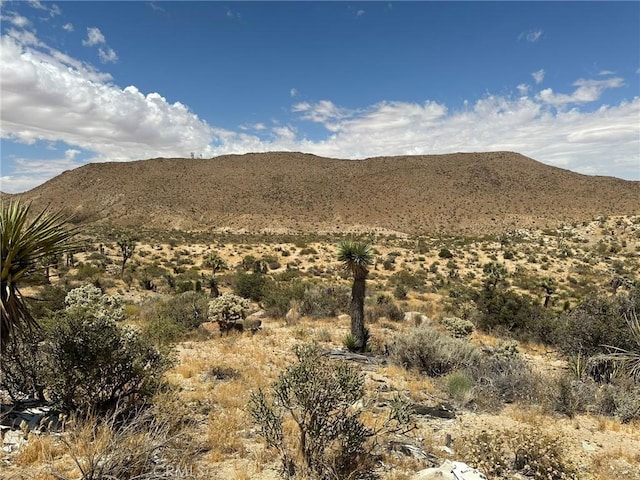 2468 Prescott Ave, Yucca Valley CA, 92284 land for sale