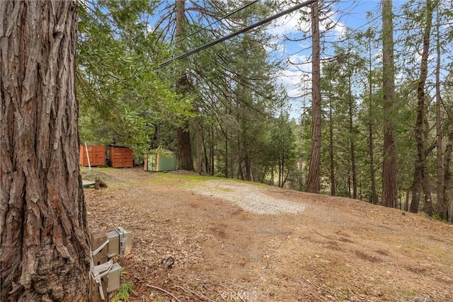 view of yard with an outbuilding, dirt driveway, and a storage unit