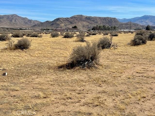 0 Ramona Ave, Apple Valley, CA 92307 - photo 15