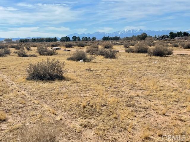 0 Ramona Ave, Apple Valley, CA 92307 - photo 10