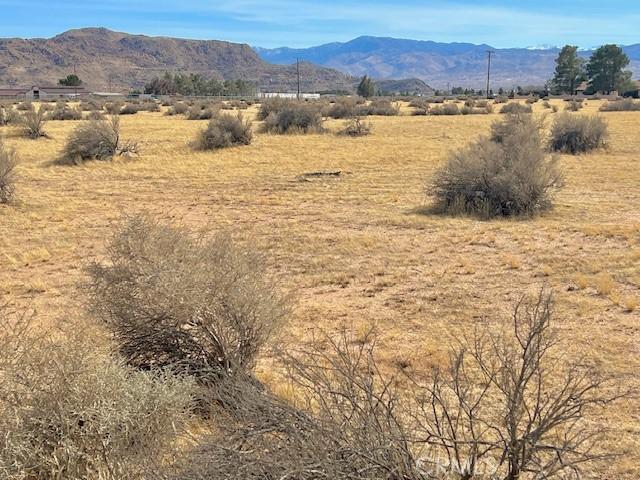 0 Ramona Ave, Apple Valley, CA 92307 - photo 4