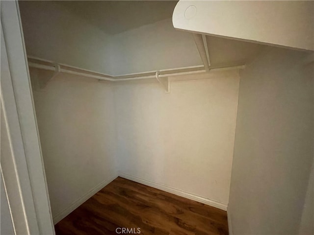 spacious closet with dark wood-type flooring