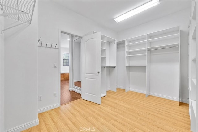 walk in closet with light wood-type flooring