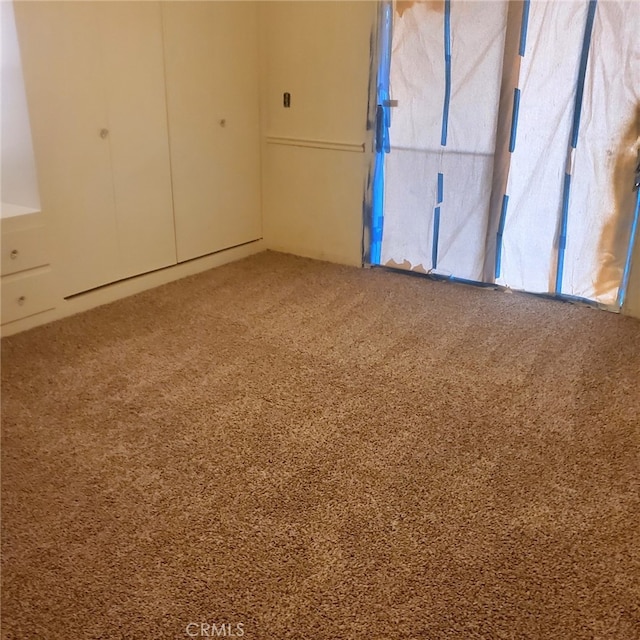 spare room featuring carpet floors
