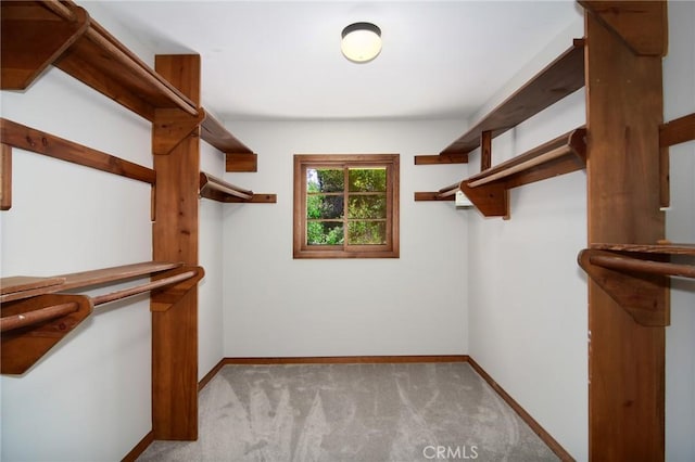 walk in closet with light carpet