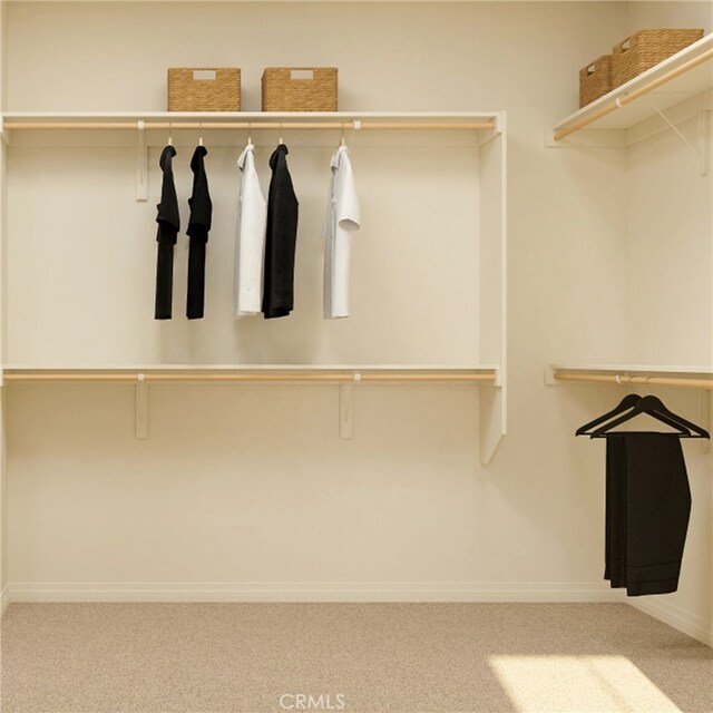 spacious closet featuring carpet flooring