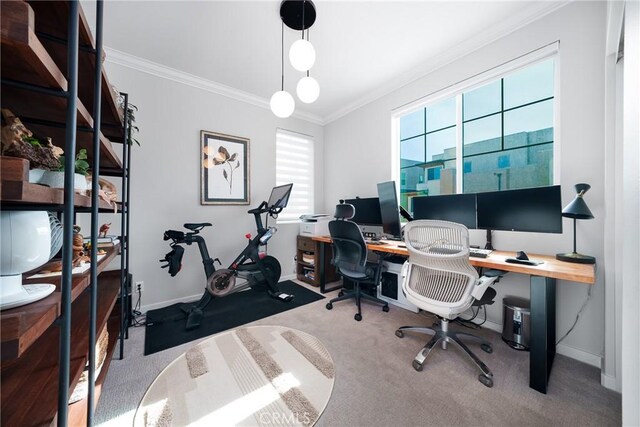 office area featuring ornamental molding, carpet, a healthy amount of sunlight, and baseboards