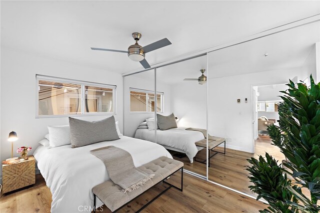 bedroom with ceiling fan, multiple windows, baseboards, and wood finished floors