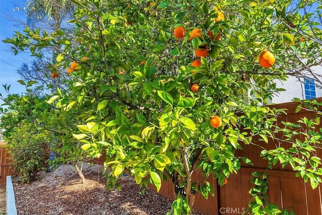 42064 Pine Needle St, Temecula, CA 92591 - photo 31