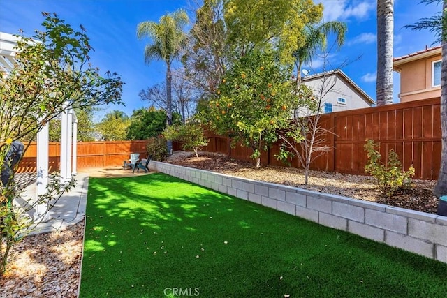 view of yard with a fenced backyard and a patio