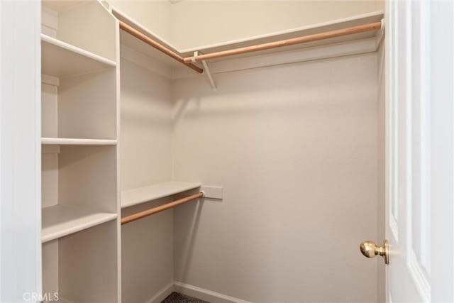 view of spacious closet