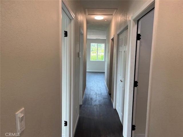 hallway featuring baseboards, a textured wall, and dark wood-style flooring