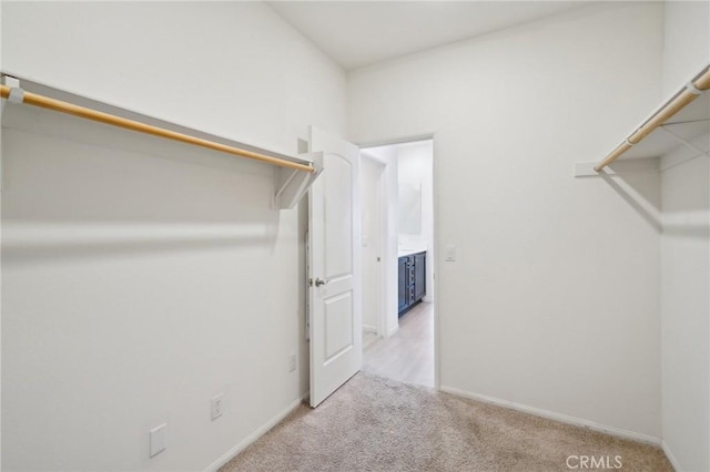 walk in closet with light carpet