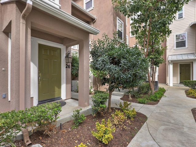 doorway to property with stucco siding