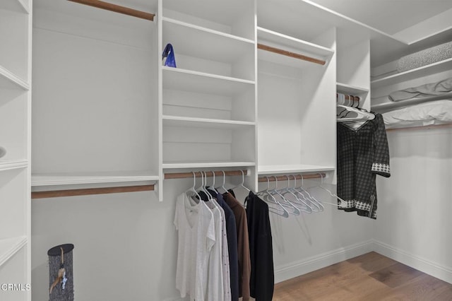 spacious closet with wood finished floors