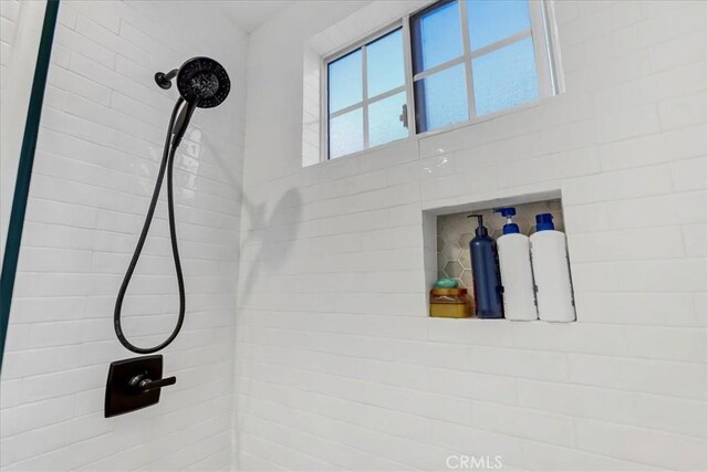 room details with tiled shower