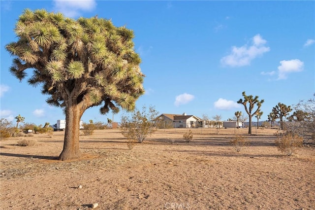 view of yard featuring a rural view