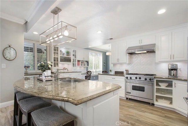 kitchen with an island with sink, under cabinet range hood, designer range, and decorative light fixtures