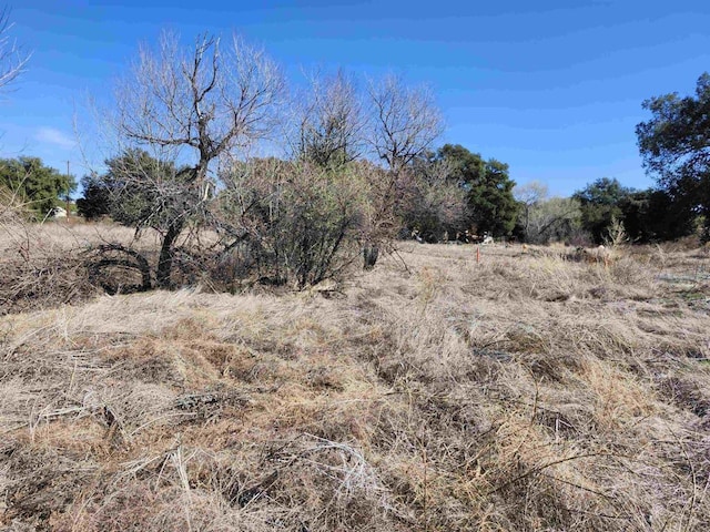 view of local wilderness with a rural view