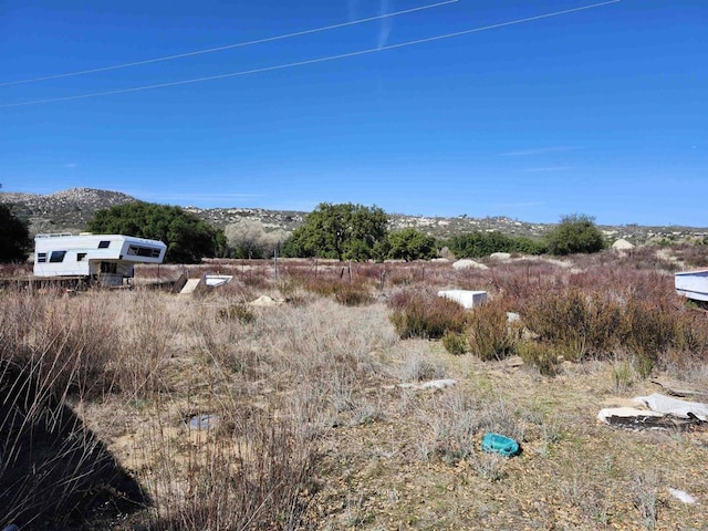 view of yard featuring a mountain view