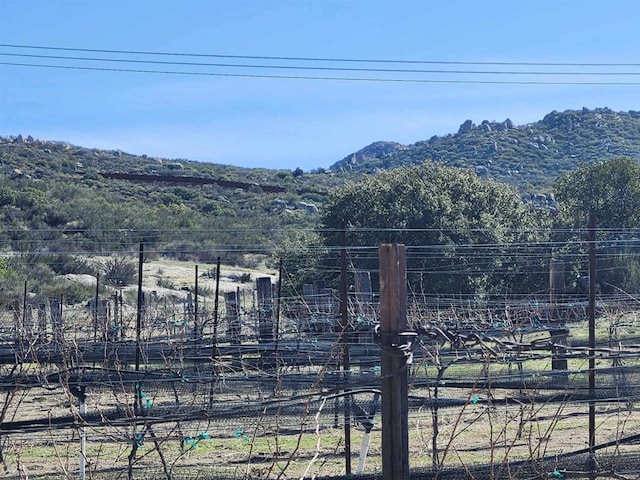 view of yard with a mountain view