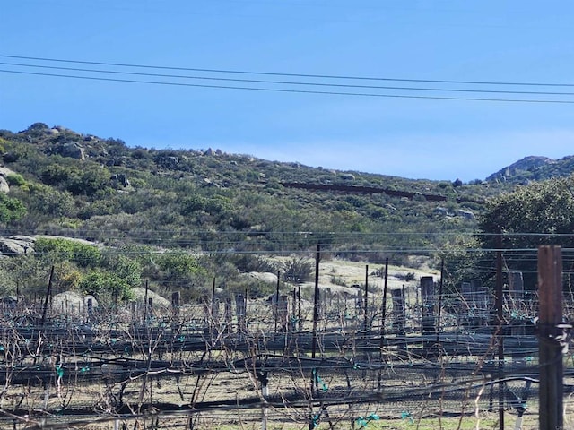 view of yard featuring a mountain view