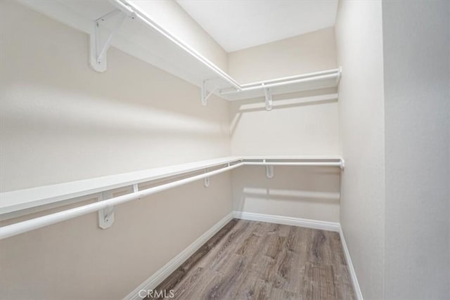 spacious closet featuring light wood-style floors