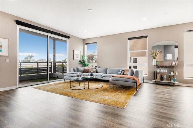 living area with baseboards and wood finished floors