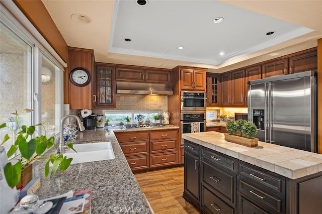 kitchen with glass insert cabinets, a tray ceiling, stainless steel appliances, under cabinet range hood, and a sink