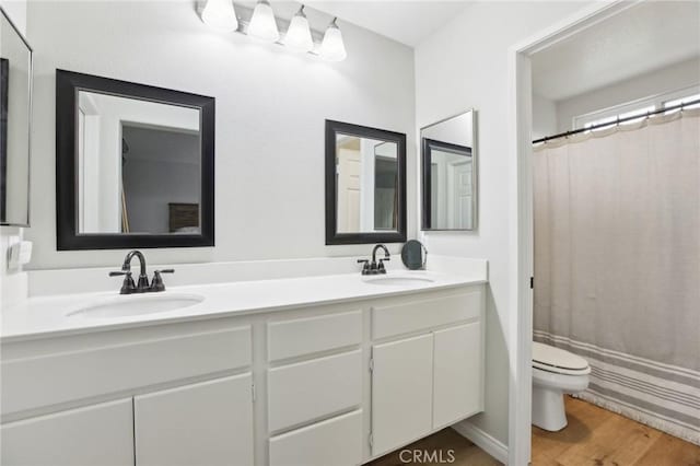 full bath featuring toilet, double vanity, a sink, and wood finished floors