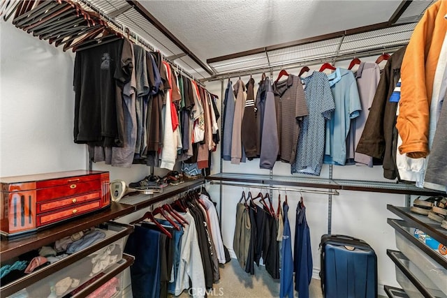 view of spacious closet