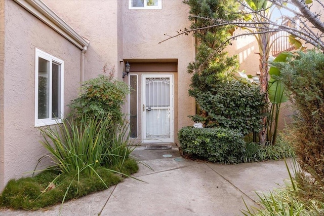 doorway to property featuring stucco siding