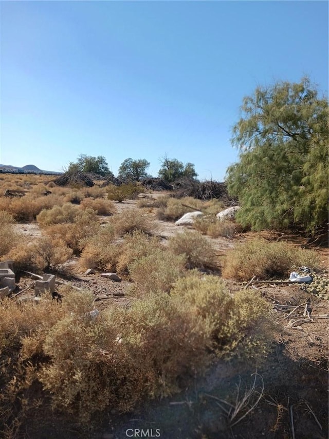 Listing photo 3 for 0 Mountain View Rd, Newberry Springs CA 92365