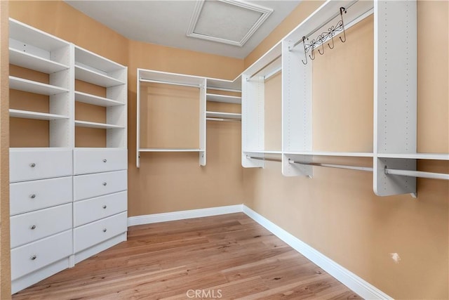 walk in closet with attic access and wood finished floors