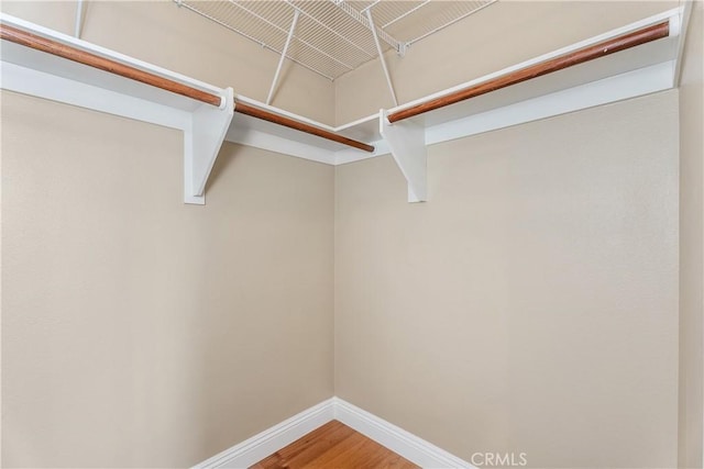 spacious closet featuring wood finished floors