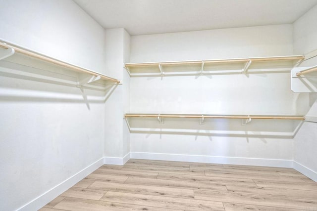 spacious closet featuring light wood-style flooring