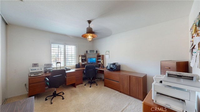 office space featuring light colored carpet