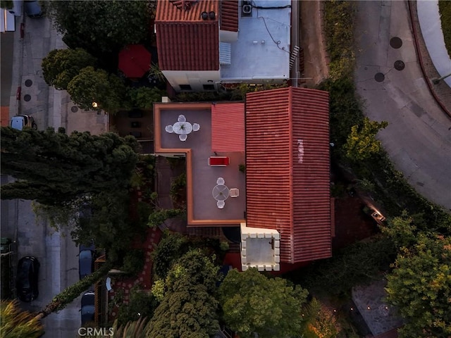 aerial view